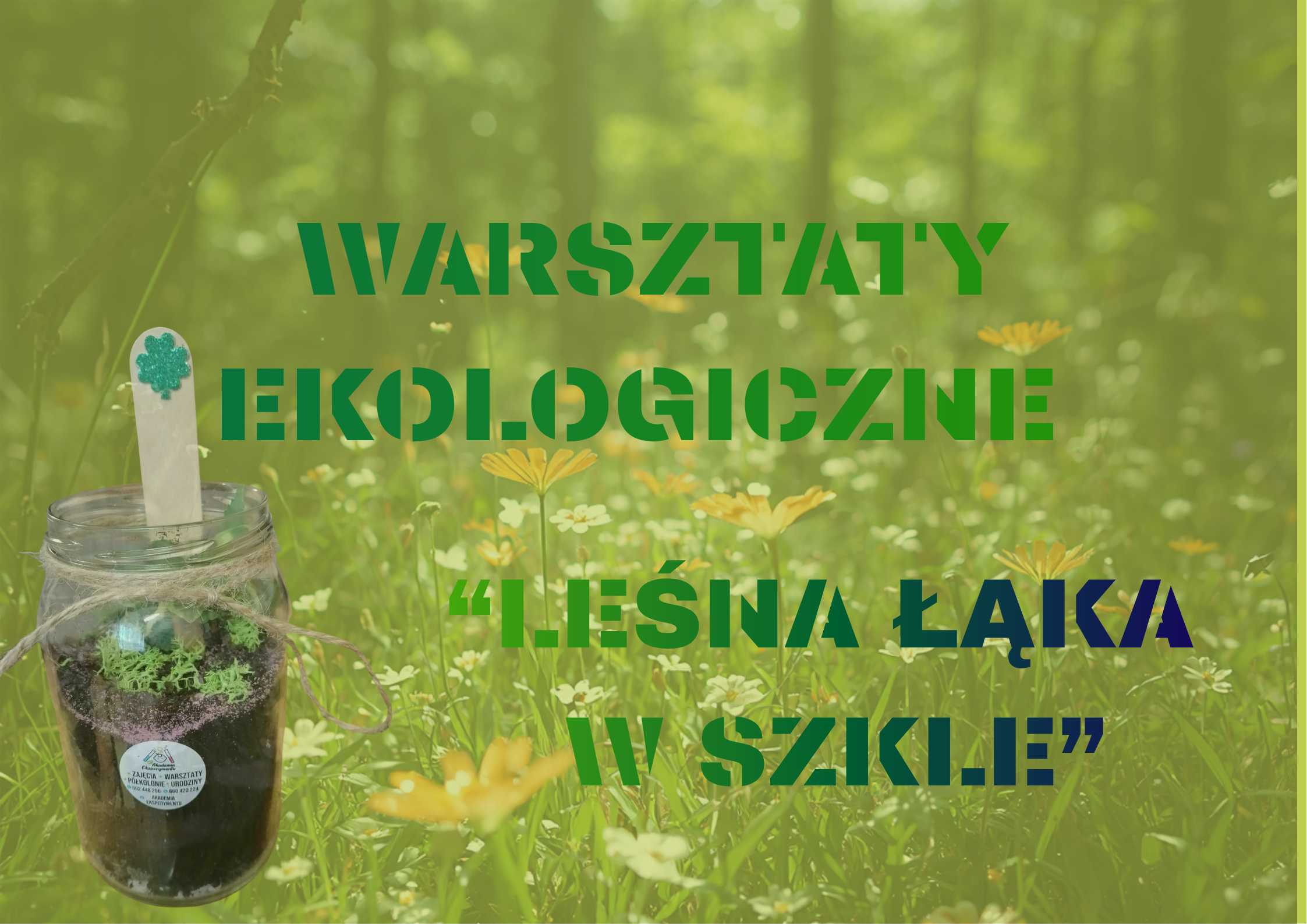 WARSZTATY EKOLOGICZNE „LEŚNA ŁĄKA W SZKLE”