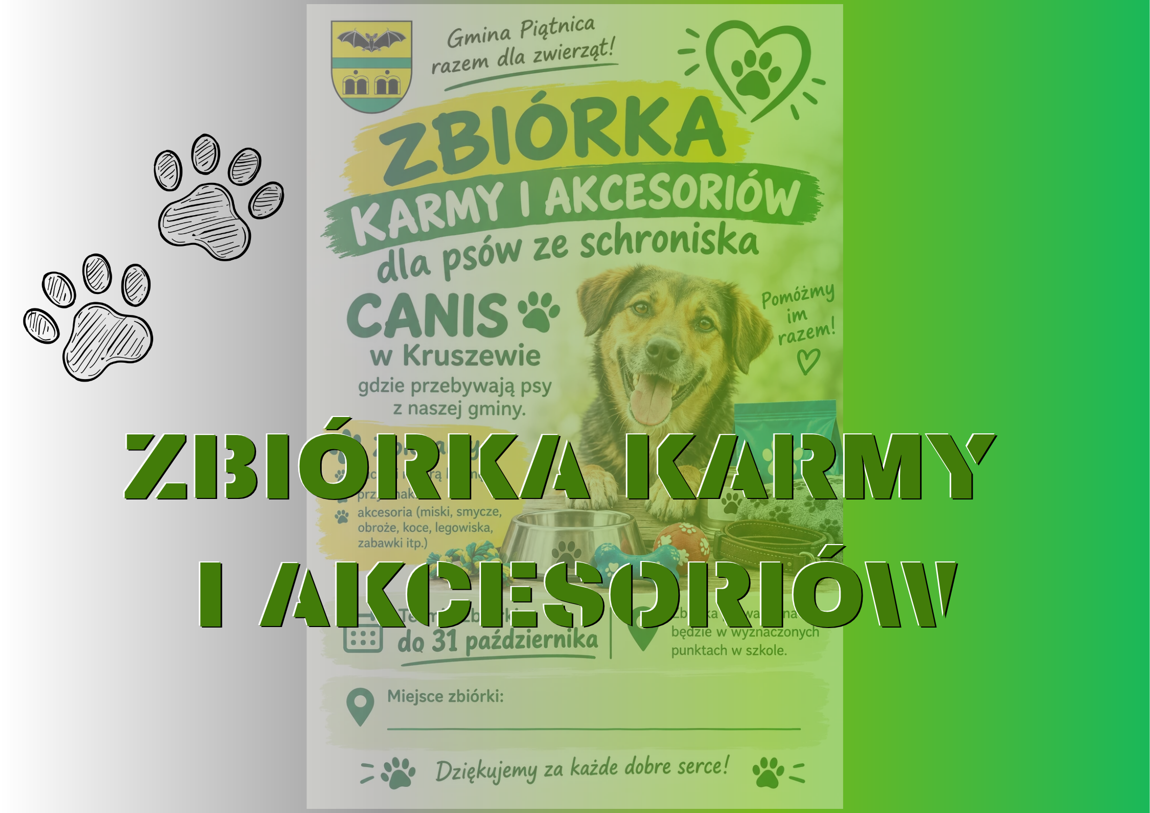ZBIÓRKA KARMY I AKCESORIÓW DLA PSÓW ZE SCHRONISKA CANIS
